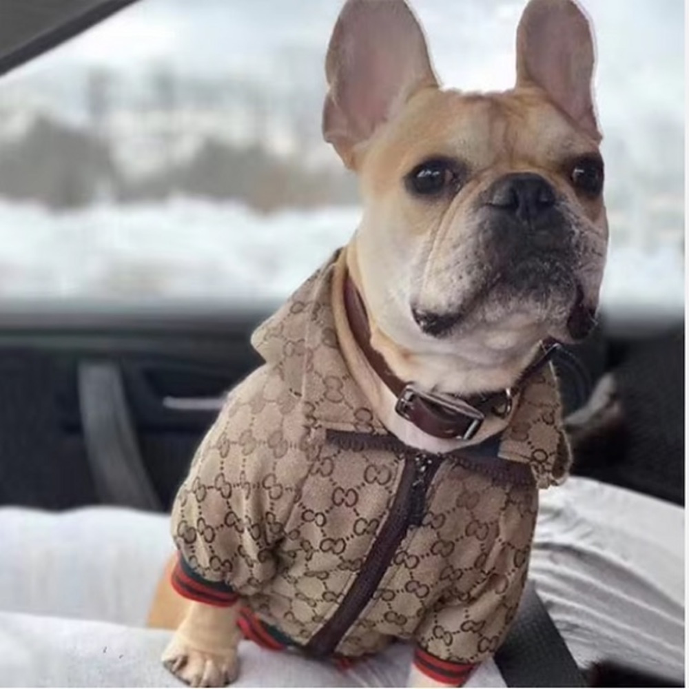 Luxury Designer Pet Dog GG hoodie jacket NWOT